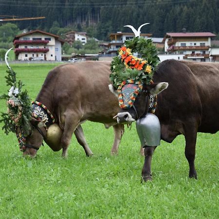 Ferienhaus Oberhuben フューゲンベルク エクステリア 写真