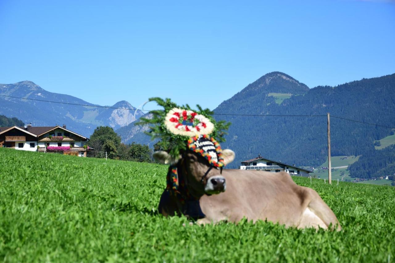 Ferienhaus Oberhuben フューゲンベルク エクステリア 写真